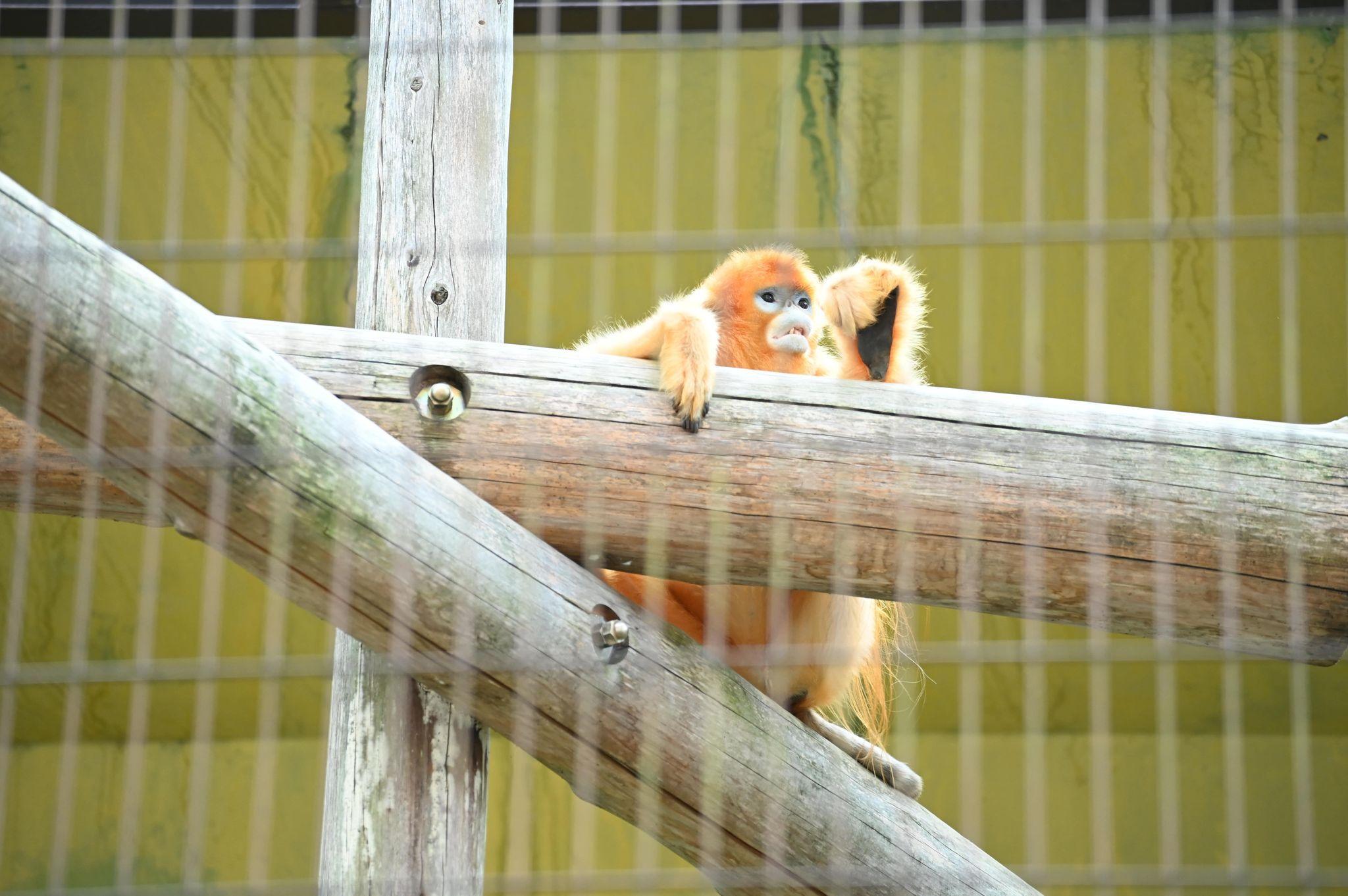 熊本市動植物園