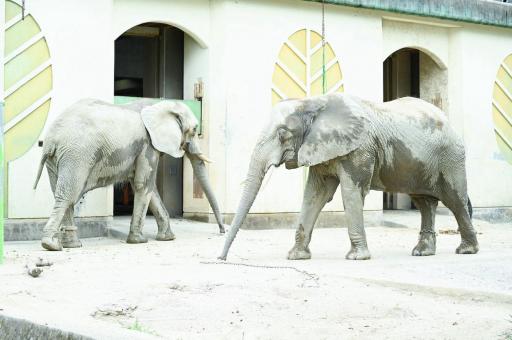 熊本市動植物園