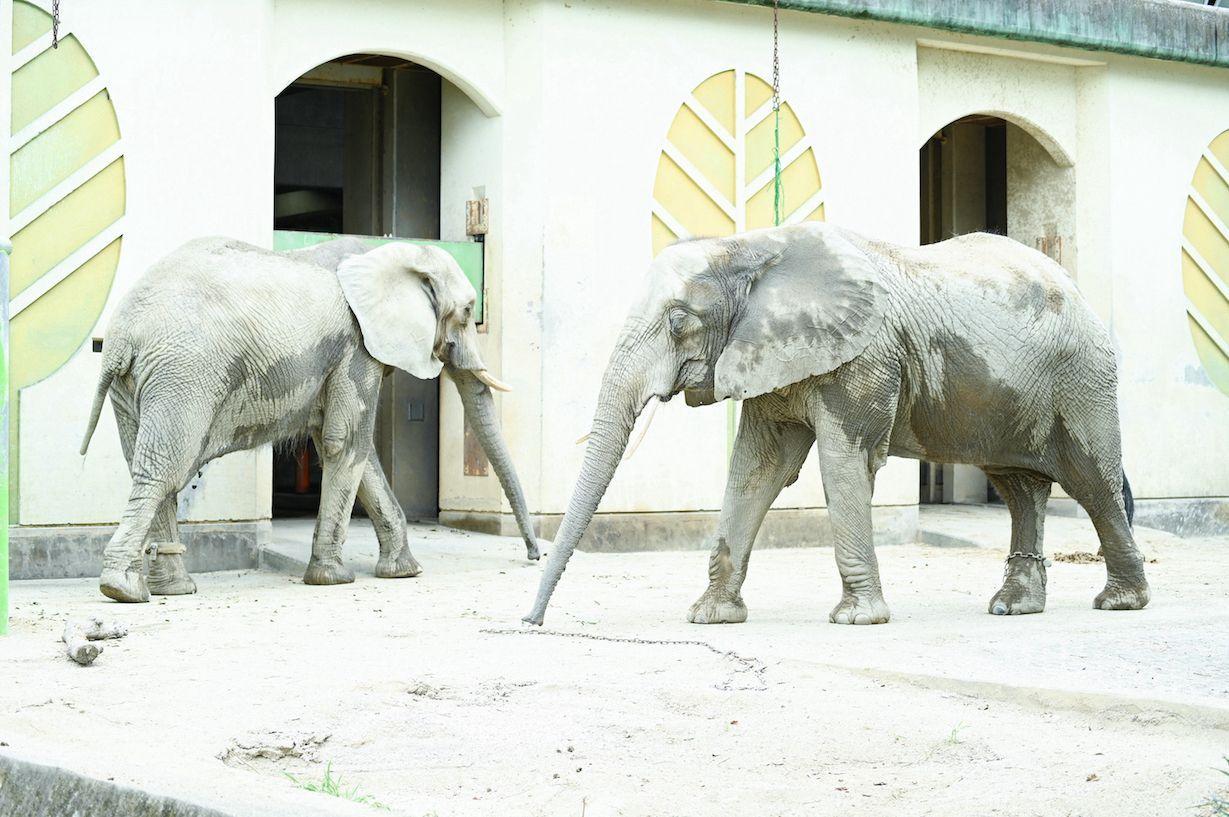 熊本市動植物園