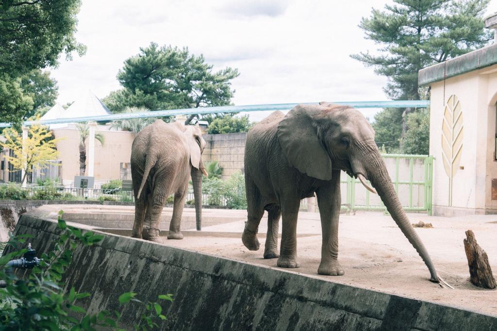 熊本市動植物園