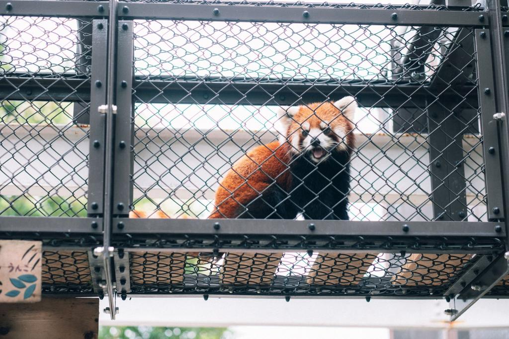 熊本市動植物園