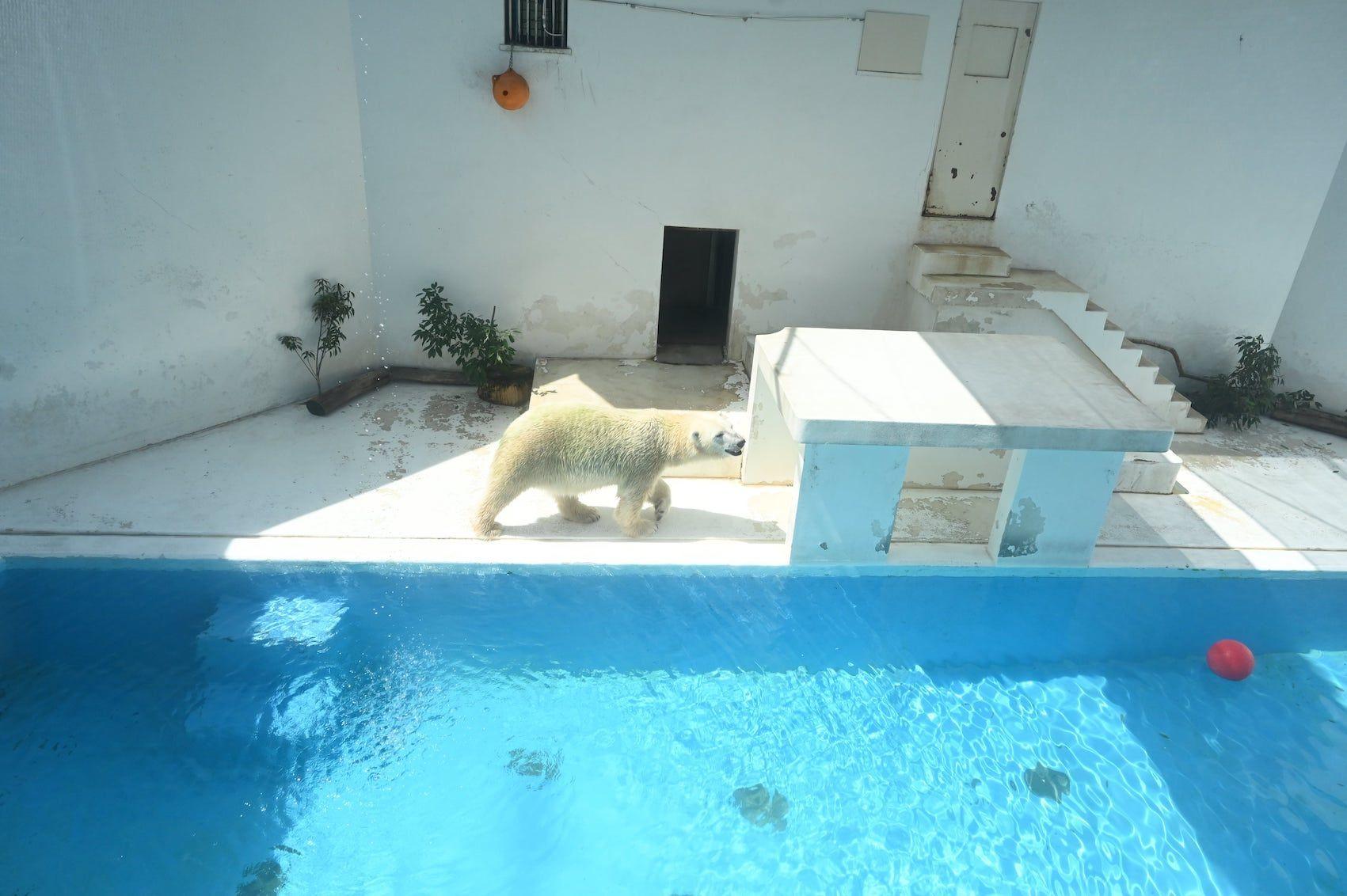 熊本市動植物園