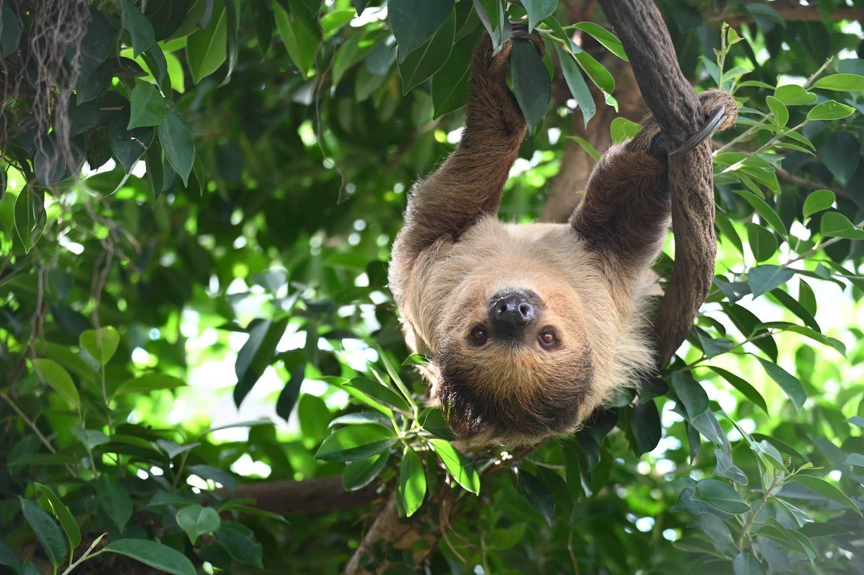 熊本市動植物園