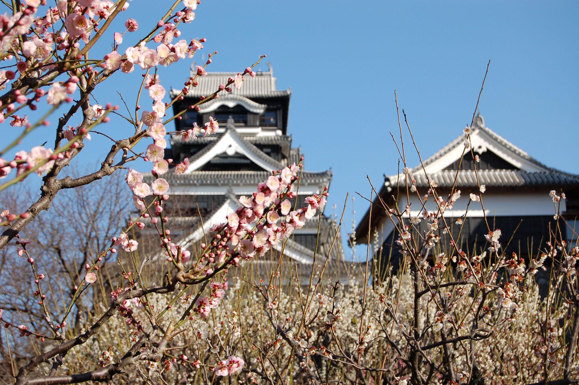 熊本城