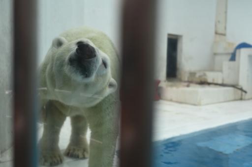 熊本市動植物園
