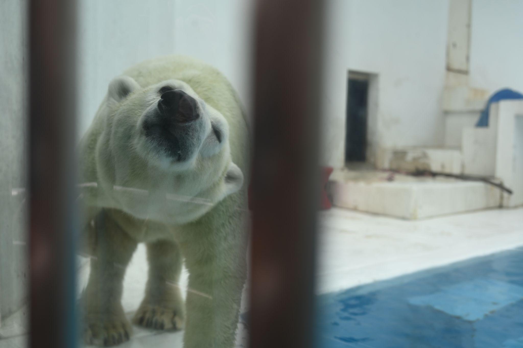 熊本市動植物園