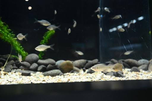 水辺のインフォメーションセンター