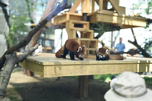 熊本市動植物園