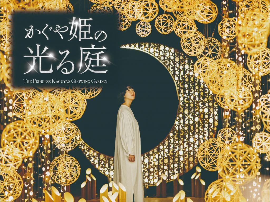 かぐや姫の光る庭