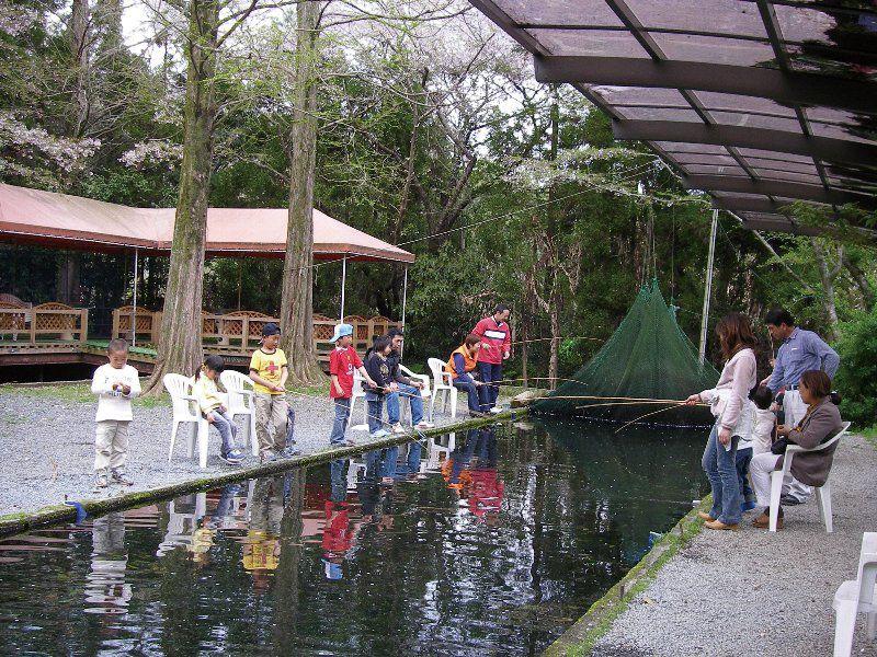 ニジマス釣り堀