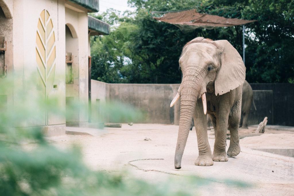 熊本市動植物園
