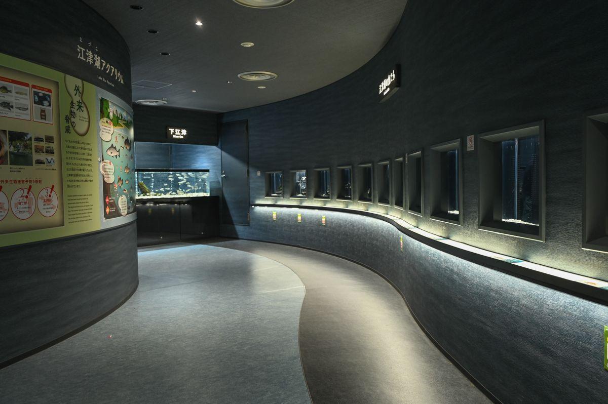 水辺のインフォメーションセンター