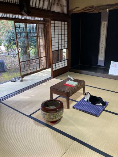 夏目漱石内坪井旧居