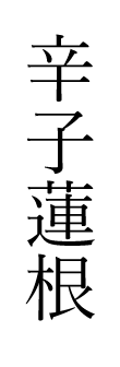 辛子蓮根