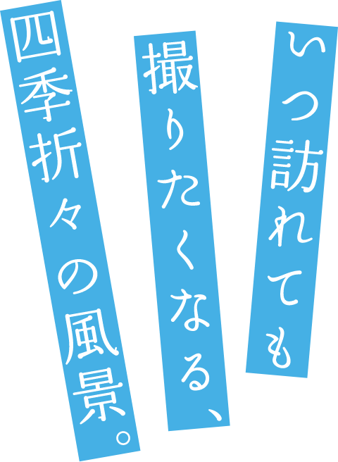 いつ訪れても撮りたくなる、四季折々の風景。