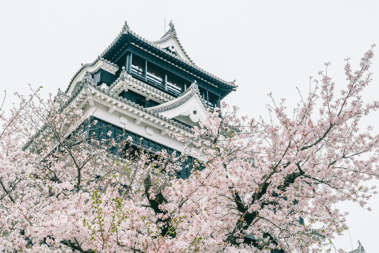 熊本城01