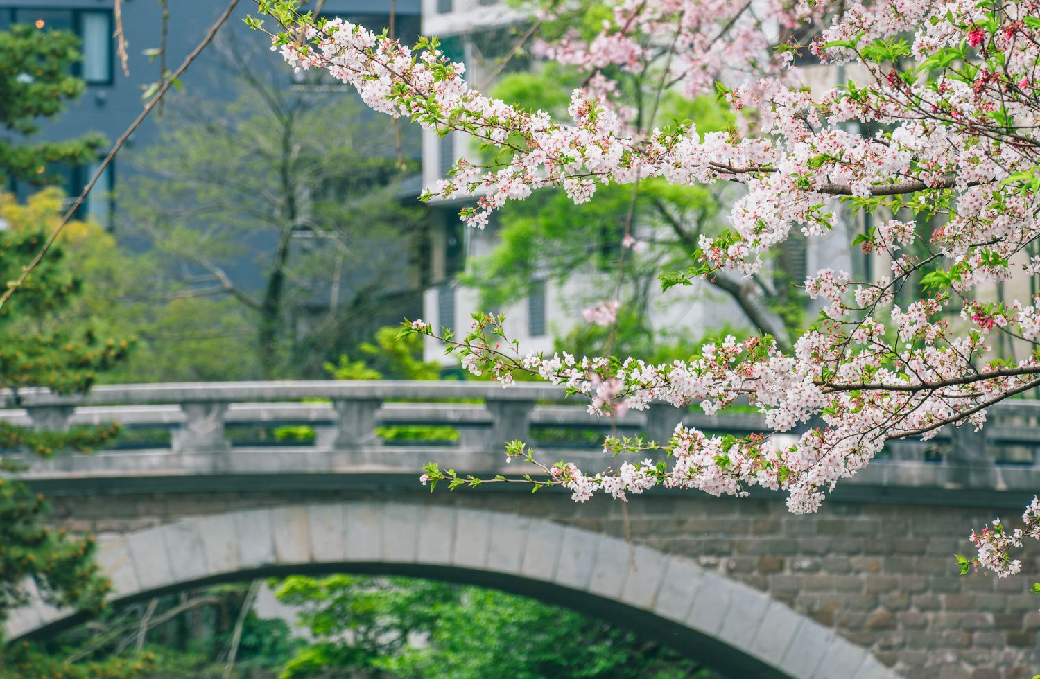 明十橋01