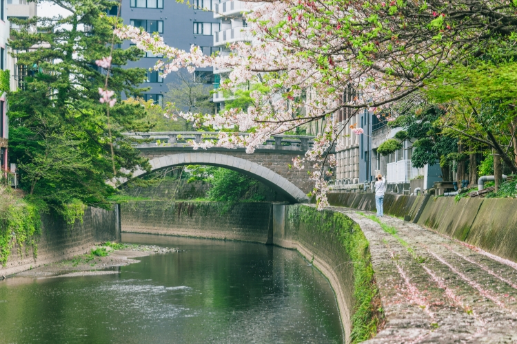 明十橋02