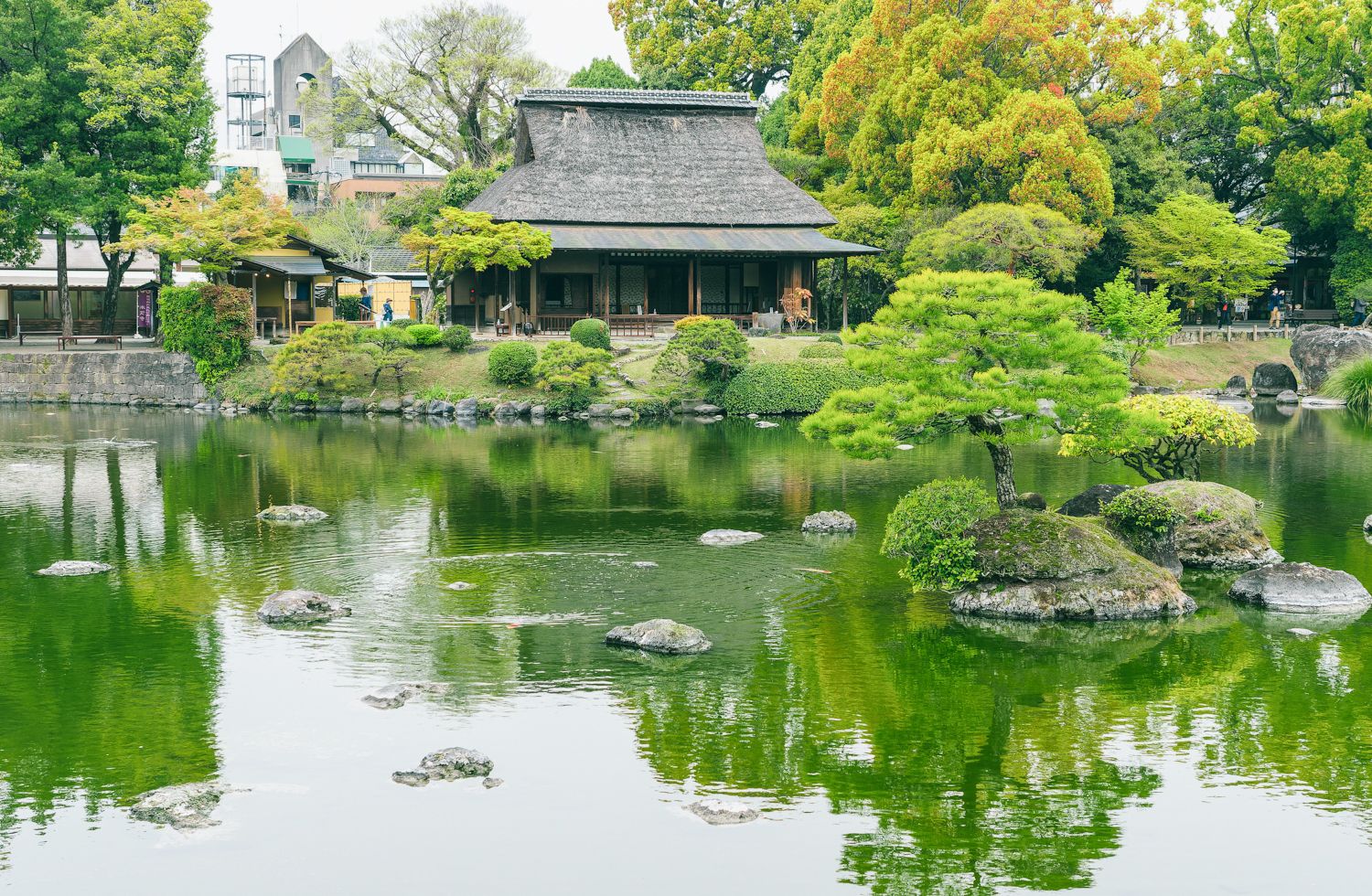 水前寺成趣園01